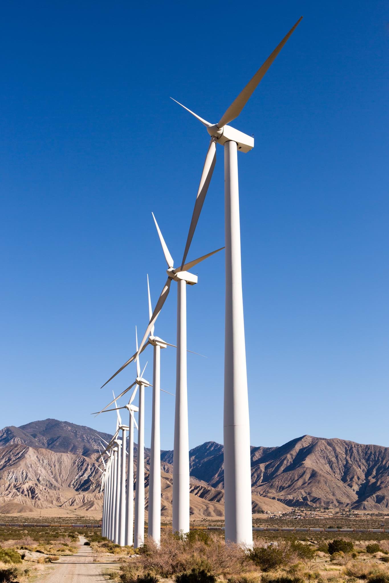 Shell Palm Springs Shell Palm Springs